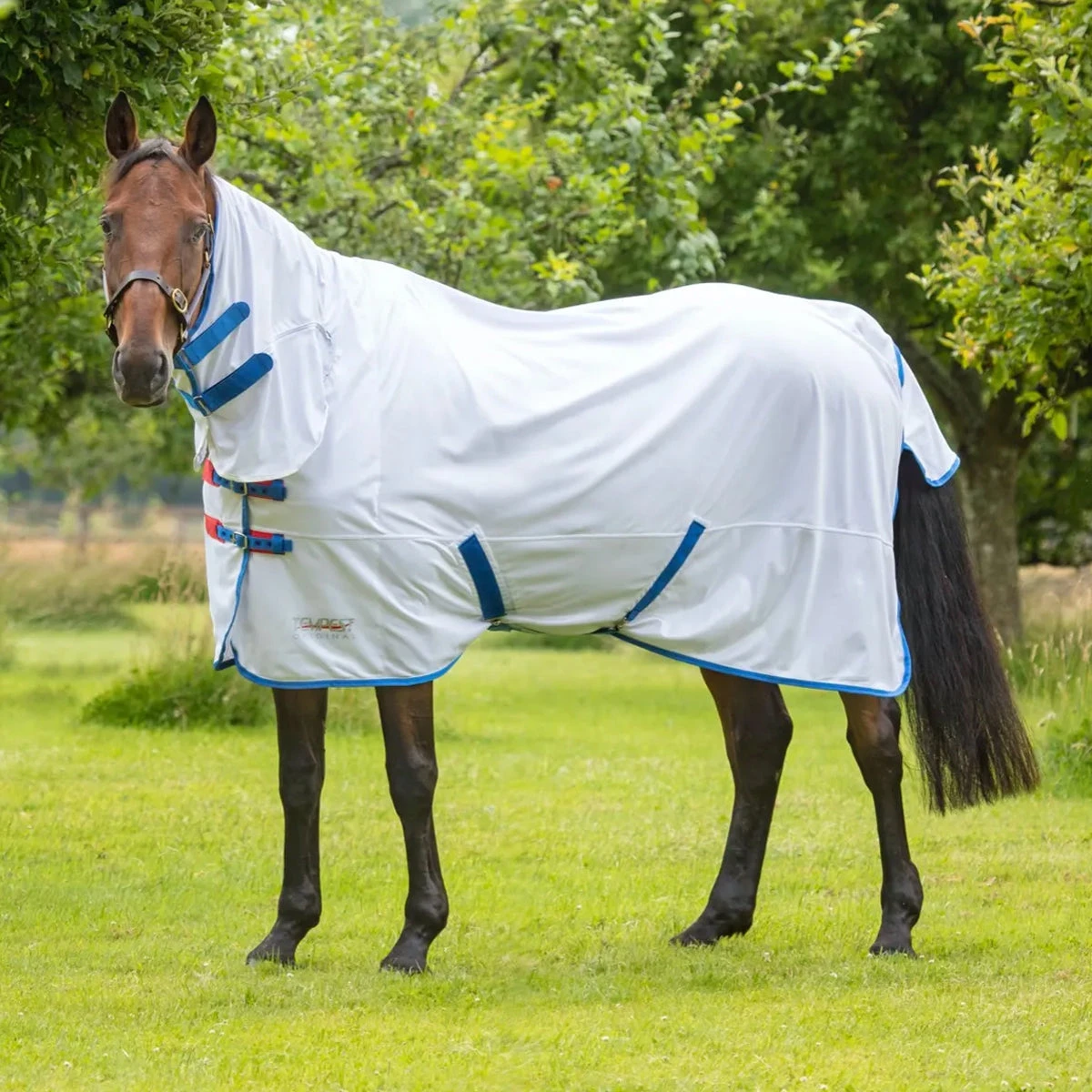 Tempest Fly Sheet With Standard Neck 3 Tempest Fly Sheet With Standard Neck