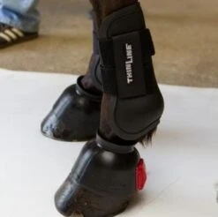 ThinLine Open Front Tendon Schooling Horse Boot 9 ThinLine Open Front Tendon Schooling Horse Boot -Weatherbeeta Store TL 4015 W SchoolingBoot Front blk 3