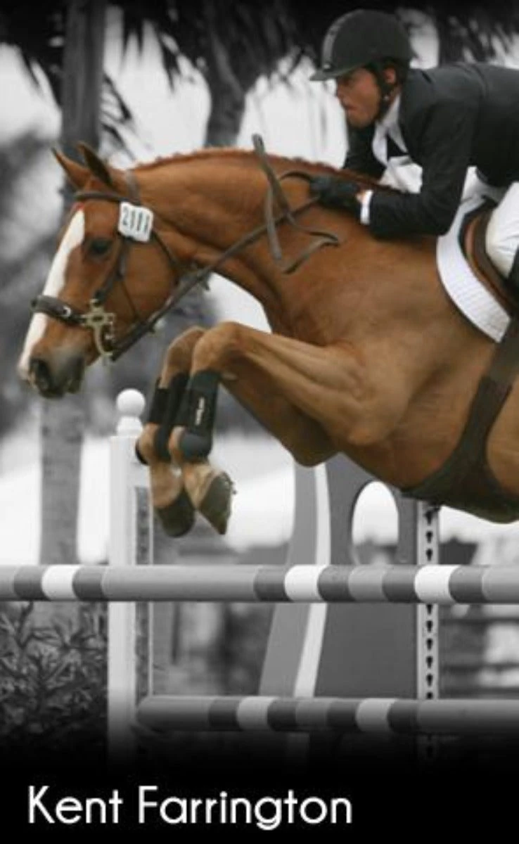 ThinLine Open Front Tendon Schooling Horse Boot 7 ThinLine Open Front Tendon Schooling Horse Boot - Image 5