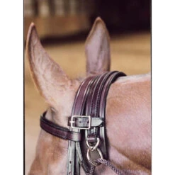 Tory Leather Chambon 5 Tory Leather Chambon -Weatherbeeta Store Tory Chambon 47722.1588313139.1280.1280