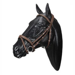 Wintec English Bridle With Flash Noseband 7 Wintec English Bridle With Flash Noseband -Weatherbeeta Store WABRICBRN