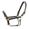 Walsh Kentucky Halter -Weatherbeeta Store Walsh Kentucky Halter Havana 00621.1582144107.1280.1280