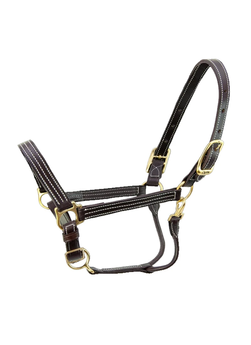 Walsh Kentucky Halter 3 Walsh Kentucky Halter