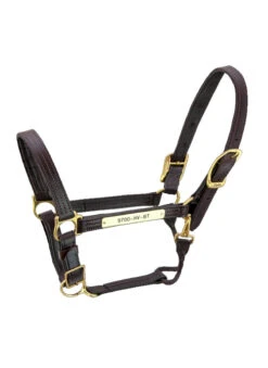 Walsh Kentucky Halter 8 Walsh Kentucky Halter -Weatherbeeta Store Walsh Kentucky Halter Havana brown thread 85485.1582144107.1280.1280
