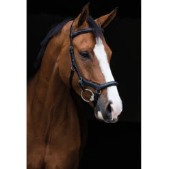 Rambo Micklem Deluxe Competition Bridle -Weatherbeeta Store black2 18961.1590614970.1280.1280
