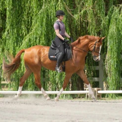 Kerrits Women's Crossover II Full Seat Breech 41 Kerrits Women's Crossover II Full Seat Breech -Weatherbeeta Store black3 68735.1581518814.1280.1280 ee0169b4 275f 4e97 9c76 48ce457233a0