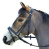 Wintec English Bridle With Flash Noseband -Weatherbeeta Store black3 94565.1586445749.1280.1280