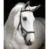 Rambo Micklem Deluxe Competition Bridle -Weatherbeeta Store black4 05355.1590614970.1280.1280
