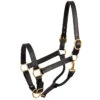 Perri's 1" Leather Show Halter -Weatherbeeta Store black 91300.1588006313.1280.1280