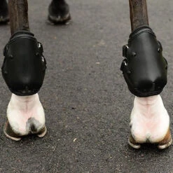 EquiFit AmpTeq Hind Boot -Weatherbeeta Store black trim4 01302.1590074384.1280.1280