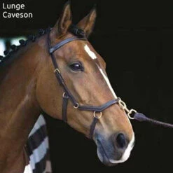 Horseware Rambo Micklem Multibridle -Weatherbeeta Store bridle16