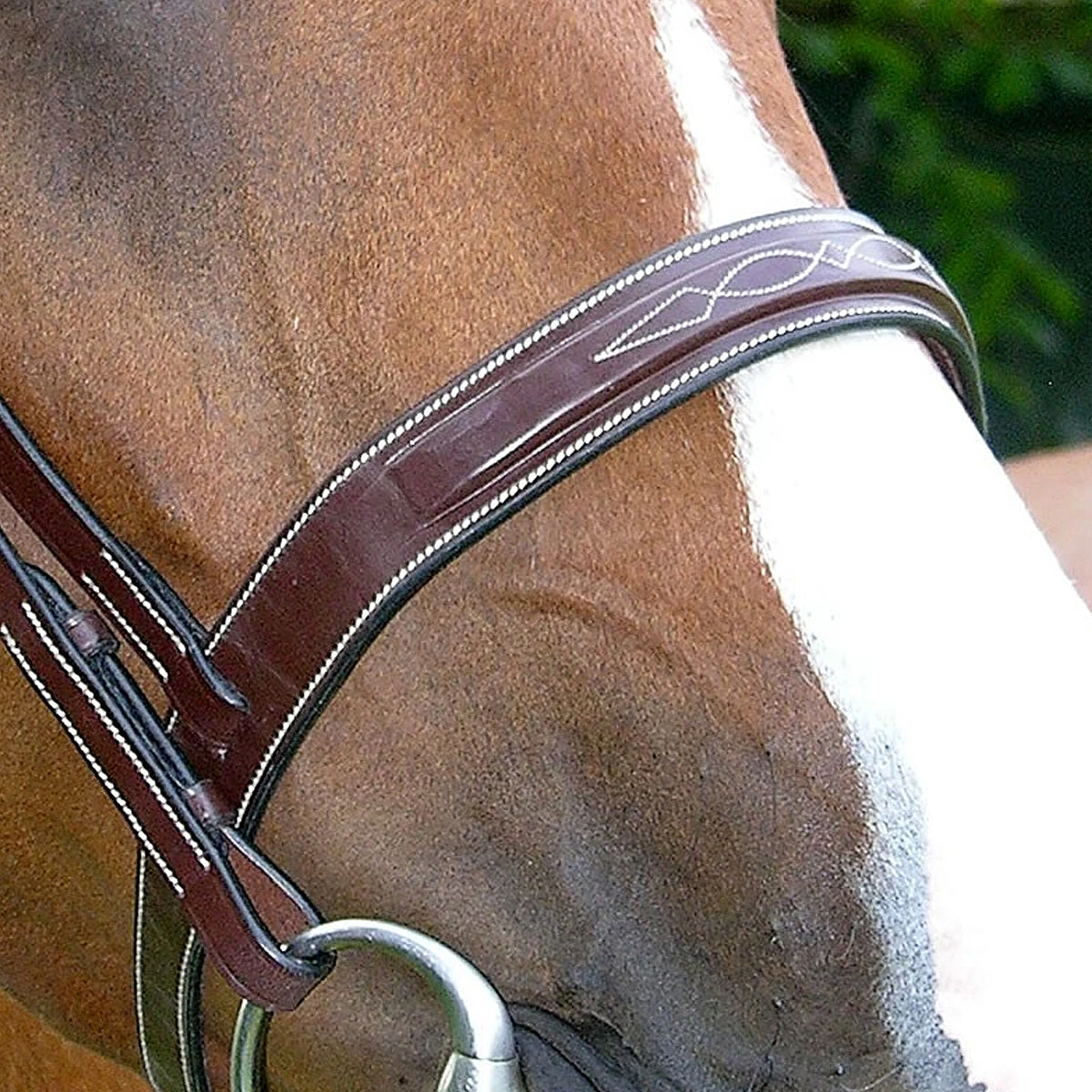 Dy'on Fancy Stitch Wide Noseband Bridle 5 Dy'on Fancy Stitch Wide Noseband Bridle - Image 3