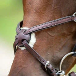 Nunn Finer Figure Eight Bridle -Weatherbeeta Store bridle3 46165870 fad2 409e ae3d ca7da5e4cdc6