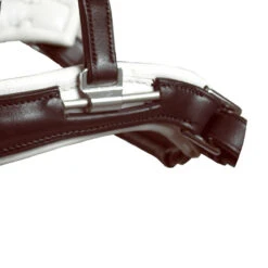 Acavallo Filosofia Bridle 9 Acavallo Filosofia Bridle -Weatherbeeta Store bridle3 35524.1587741816.1280.1280