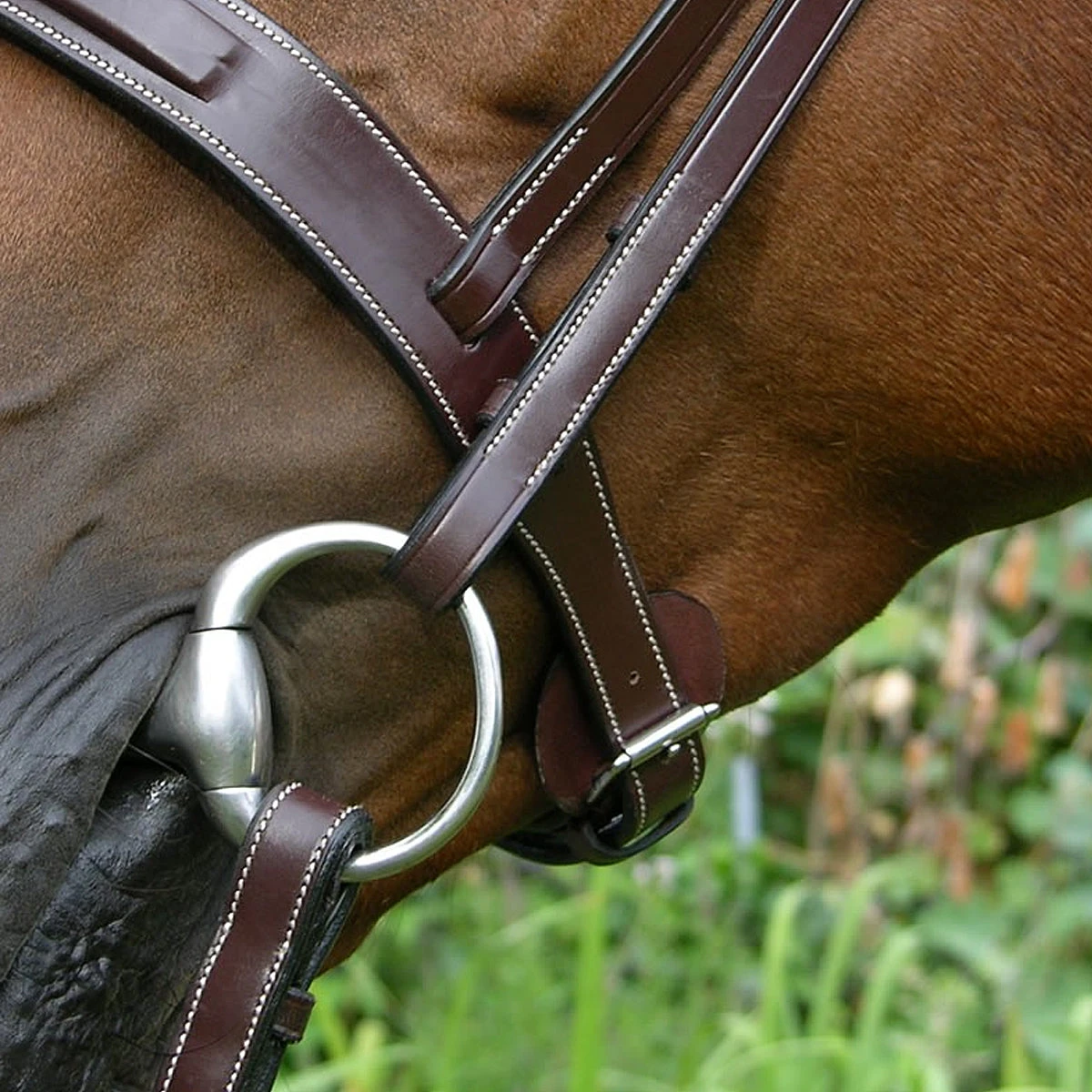 Dy'on Fancy Stitch Wide Noseband Bridle 7 Dy'on Fancy Stitch Wide Noseband Bridle - Image 5