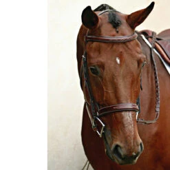 Nunn Finer Caterina Hunter Bridle 11 Nunn Finer Caterina Hunter Bridle -Weatherbeeta Store bridle5 897aa7a3 ce3b 4720 b97d 9e9ac9222f48