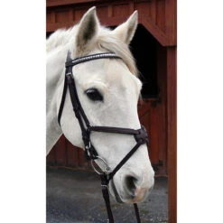 Nunn Finer Figure Eight Bridle -Weatherbeeta Store bridle5 9a50a3e3 345a 4af3 8fc7 ec18cd907750