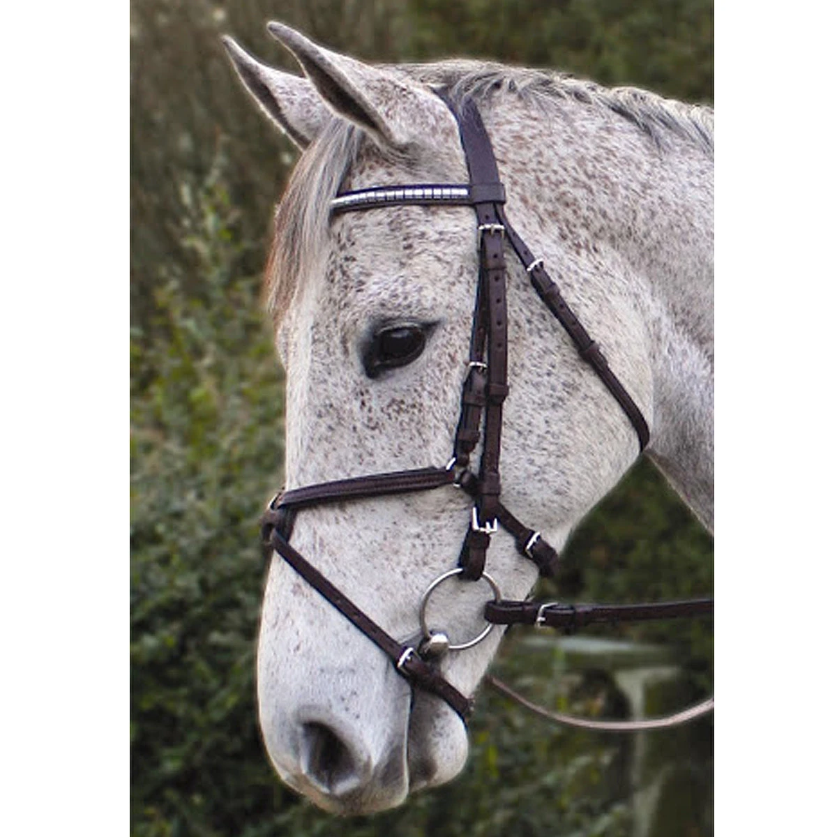 Nunn Finer Padded Figure 8 Noseband With Interchangeable Button Pieces 6 Nunn Finer Padded Figure 8 Noseband With Interchangeable Button Pieces - Image 4