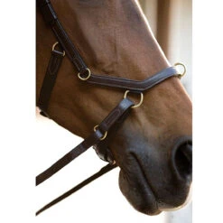 Horseware Rambo Micklem Multibridle -Weatherbeeta Store bridle7 dbdae65c 834f 4c38 82af 05b9ee064b97