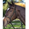 Passier Fortuna Snaffle Bridle -Weatherbeeta Store bridle8 40386.1589504217.1280.1280