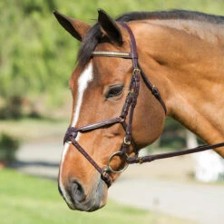Nunn Finer Padded Figure 8 Noseband With Interchangeable Button Pieces 13 Nunn Finer Padded Figure 8 Noseband With Interchangeable Button Pieces -Weatherbeeta Store bridle8 91054.1588702953.1280.1280
