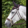 Dyon Hackamore Bridle 2 Dyon Hackamore Bridle -Weatherbeeta Store bridle 0f6fd6db 7a4e 4f09 a701 04281ee797bf