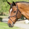 Nunn Finer Figure Eight Bridle 1 Nunn Finer Figure Eight Bridle -Weatherbeeta Store bridle 83a8692f e0bc 4982 84e9 62202da61996