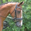 Black Oak By KL Select Magnolia Dressage Bridle 1 Black Oak By KL Select Magnolia Dressage Bridle -Weatherbeeta Store bridle 14254.1584458498.1280.1280