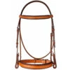 Edgewood 1" Fancy Raised Padded Bridle With Padded Crown -Weatherbeeta Store bridle 28693.1590761944.1280.1280