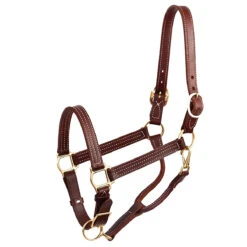 Perri's 1" Leather Show Halter -Weatherbeeta Store chestnut 40178.1588006314.1280.1280