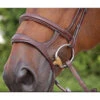 Dyon Double Noseband - D Collection -Weatherbeeta Store dyon doublenoseband