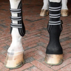 EquiFit GelSox For Horses -Weatherbeeta Store gel2 01580.1588771205.1280.1280