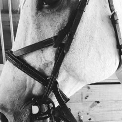 Acavallo Sensitive Bit 41 Acavallo Sensitive Bit -Weatherbeeta Store grey bit10 82744.1587749855.1280.1280