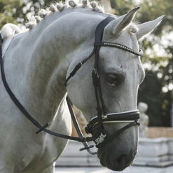 Acavallo Sensitive Bit 40 Acavallo Sensitive Bit -Weatherbeeta Store grey bit8 41036.1587749856.1280.1280