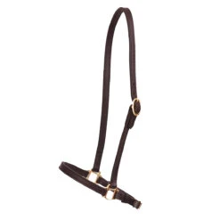 Perri's Grooming Halter