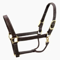 Walsh British Halter -Weatherbeeta Store halter7