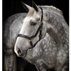 Horseware Rambo Micklem Halter -Weatherbeeta Store halterblack 20010.1586963002.1280.1280
