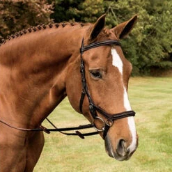 Rambo Micklem Deluxe Competition Bridle -Weatherbeeta Store havana 17224.1590614971.1280.1280