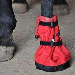 Hoof Wraps Soaker -Weatherbeeta Store hoof wrap soaker 38233.1590432762.1280.1280
