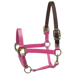 Perri's Premium Nylon Safety Halter -Weatherbeeta Store hot pink 73719.1588257173.1280.1280