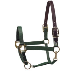 Perri's Premium Nylon Safety Halter -Weatherbeeta Store hunter green 79434.1588257174.1280.1280