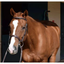 Huntley Equestrian Sedgwick Leather Fancy Stitched Bridle 29 Huntley Equestrian Sedgwick Leather Fancy Stitched Bridle -Weatherbeeta Store huntley eq sedgwick aust nut5 95416.1588357252.1280.1280