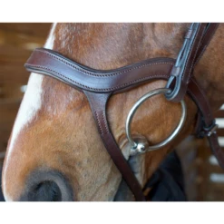 Nunn Finer Innovativo Shaped Bridle -Weatherbeeta Store innovatio3