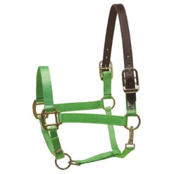 Perri's Premium Nylon Safety Halter -Weatherbeeta Store lime green 77728.1588257173.1280.1280