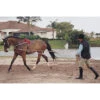 Pessoa Lunging System 1 Pessoa Lunging System -Weatherbeeta Store lunge
