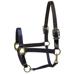 Perri's Premium Nylon Safety Halter -Weatherbeeta Store navy 34737.1588257173.1280.1280