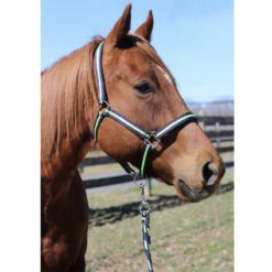 Tuffrider Nylon Breakaway Halter And Lead -Weatherbeeta Store navy neon green3 35065.1587406680.1280.1280
