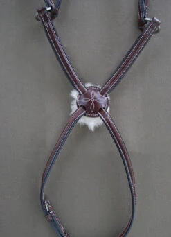 Red Barn By KL Select Equinox Figure 8 Bridle -Weatherbeeta Store noseband equinoxlarge 05965.1564083774.1280.1280