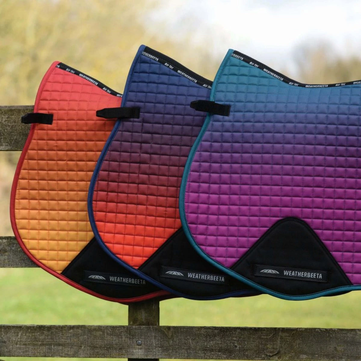 Weatherbeeta Prime All Purpose Ombre Saddle Pad 13 Weatherbeeta Prime All Purpose Ombre Saddle Pad - Image 11