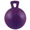Jolly Ball With 10" Handle
